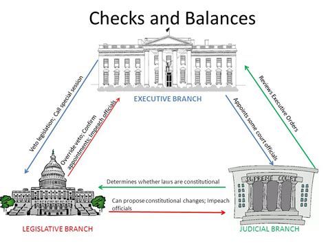 The Theory of Checks and Balances by Afreen Afshar Alam