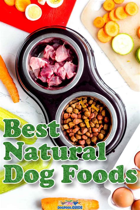 The Best Natural Dog Food: Our Top 6 Picks For 2022 Revealed