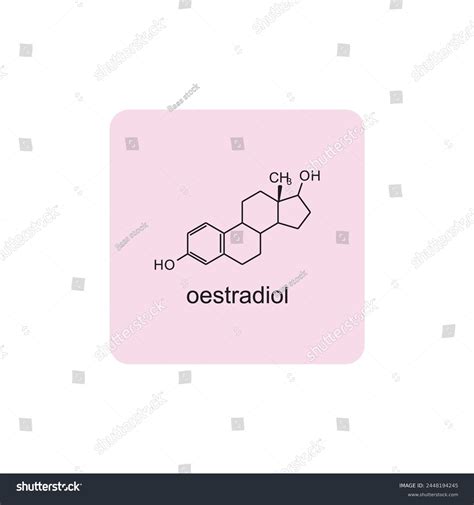 oestrone skeletal structure diagram.Steroid - Royalty Free Stock Vector ...