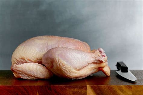 Salmonella outbreak tied to raw chicken products sickens 92 people in ...