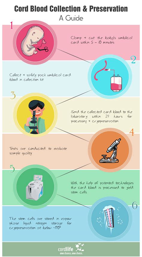 Cord Blood Collection Procedure : Cord Blood Collection Root3 Labs ...