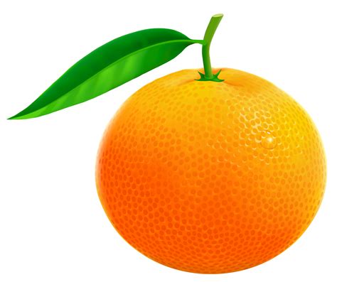 orange vector clipart 10 free Cliparts | Download images on Clipground 2024