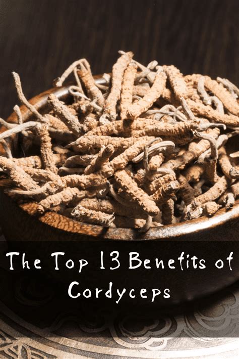 Powerful Benefits of Cordyceps Based on The Research | PrimalHerb.com