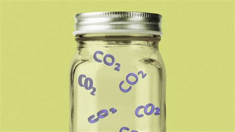 Carbon removal looks to scale up, but here's how it could go wrong