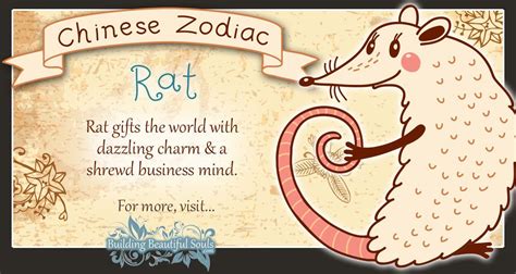 Chinese Zodiac Rat/Mouse Child Personality & Traits | Chinese Zodiac ...