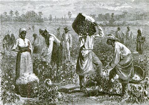 Cotton Plantations – Sankofa Archives