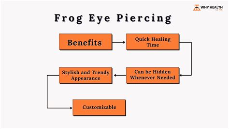 Frog Eye Piercing: What Is It, Benefits, Procedure & Cost