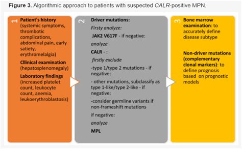 MPN Cancer Connection | PV, MF, ET Resources | Blood, Bone | Research