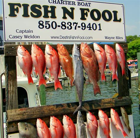 When is the "Best" red snapper fishing in Destin and which are the best ...