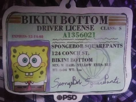 Spongebob's driver's license by macbalmo on DeviantArt