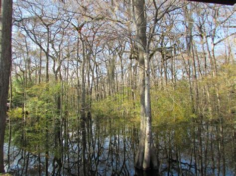 Ebenezer Creek-Savannah River