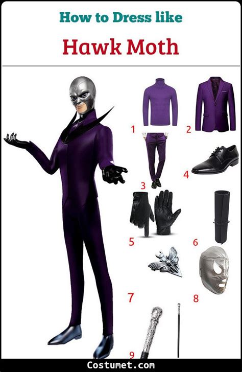 Hawk Moth (Miraculous) Costume for Cosplay & Halloween | Miraculous ...