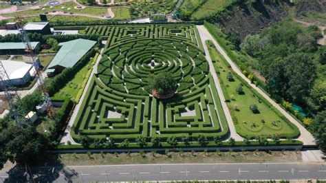 Gujarat: Miyawaki Forest, Maze Garden to be new attractions at Statue of Unity | AlJazeera