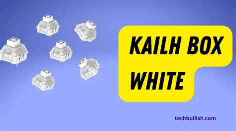 Kailh BOX White Switches {Review and Complete GUIDE!}