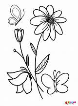 40  Daisy Coloring Pages Free Printable PDF JPG PNG & Online Coloring sketch template