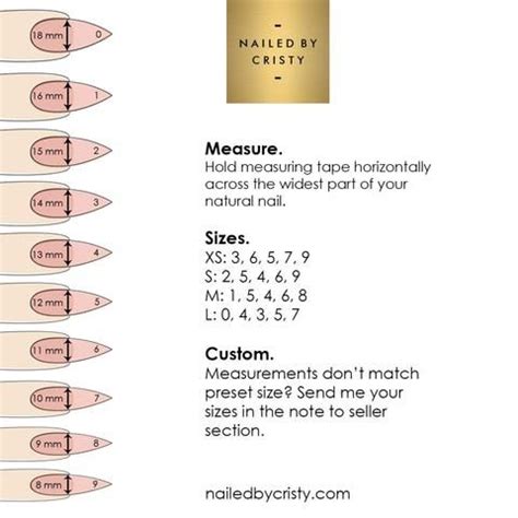 Shapes & Sizing – nailedbycristy | Nail sizes, Press on nails, Natural ...