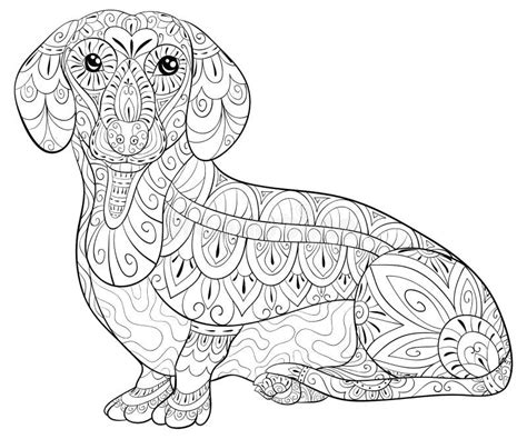 Adult Coloring Page a Cute Dachshund for Relaxing.Zen Art Style Illustration. Stock Vector ...