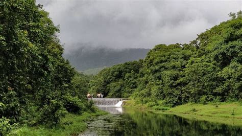 Trek to Dudhsagar Falls Goa for a thrilling experience - BYO