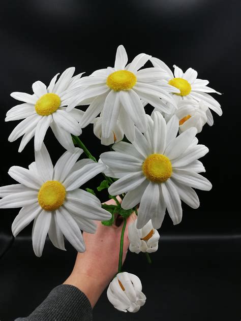 Daisy Wild Flowers Daisy Flowers Bouquet of Wildflowers Flower - Etsy