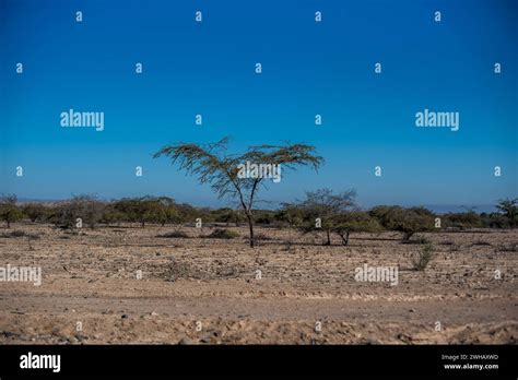 blue sky and brown desert in the rocky highlands near Nazca with desert ...