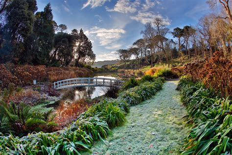 Six of the most spectacular places in Britain to see ferns - Country Life