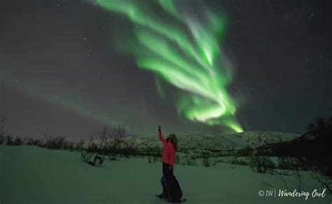 From Tromsø: Night Snowshoeing Tour | GetYourGuide