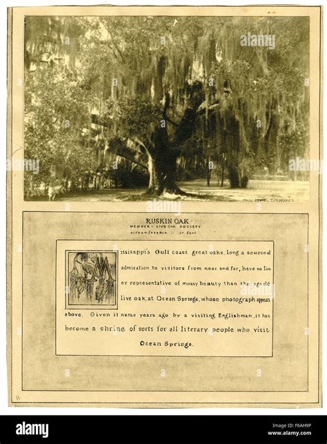 Pictorial History of Mississippi Trees Stock Photo - Alamy