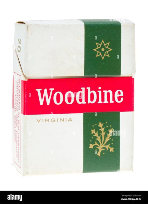 Packet of 20 Woodbine Cigarettes Stock Photo: 104060096 - Alamy