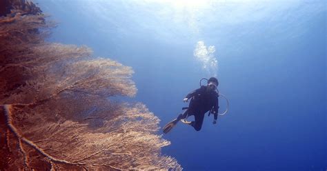 Wakatobi Diving Holiday