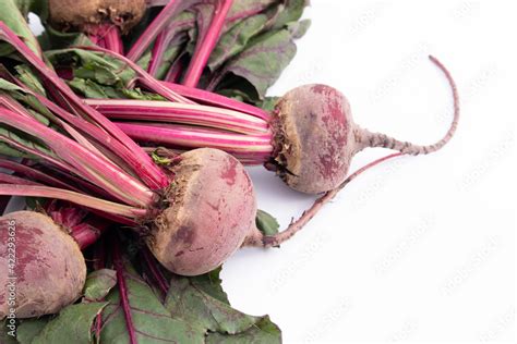 Beetroot Desi Chukandar With Green Leaves Is Consumed As Salad Or Juice. Rich Source Of Iron And ...