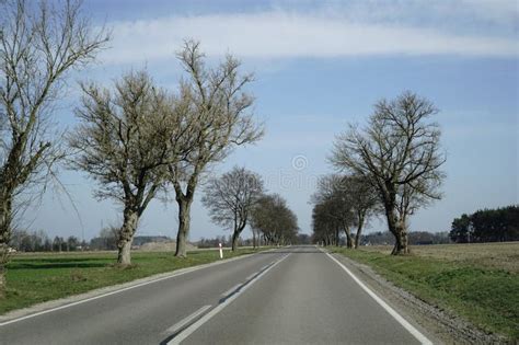 Asphalt Road in Countryside Stock Photo - Image of mazowieckie, landscape: 311495588