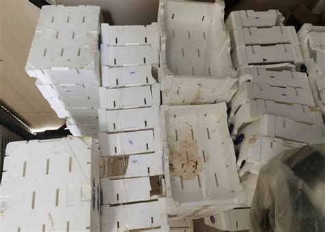 Styrofoam recycling machine recycles styrofoam boxes | salmon boxes