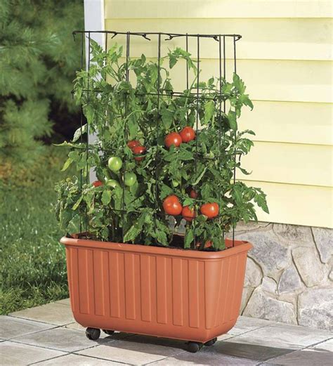 Rolling Self-Watering Tomato Planter and Rust-Resistant Tower#planter # ...