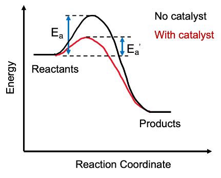 Catalysts & Activation Energy | ChemTalk