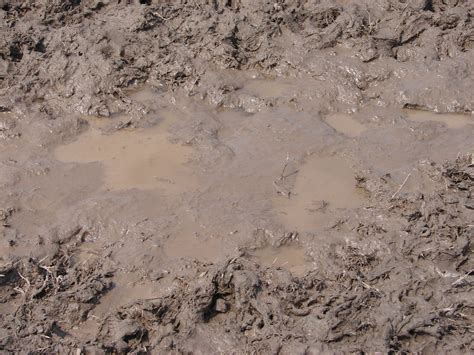 Free photo: Muddy water - Dirt, Dirty, Grunge - Free Download - Jooinn