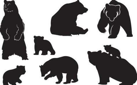 30+ Free Bear Silhouette & Bear Vectors - Pixabay