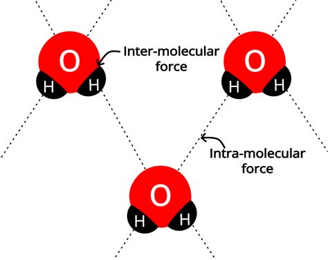 Intramolecular vs. Intermolecular Forces - PSIBERG