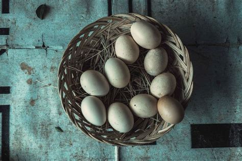 Wild Chicken Eggs | Wild chicken, Chicken eggs, Eggs