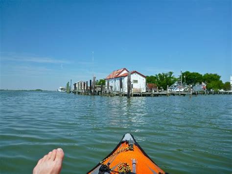 Smith Island (Crisfield) - 2018 All You Need to Know Before You Go (with Photos) - TripAdvisor