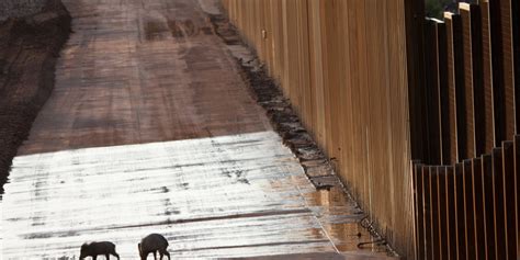 The Environmental Impact of the U.S.-Mexico Border Wall