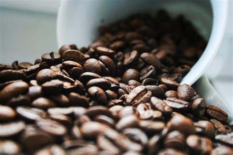 Differences Between Organic Coffee Beans And Regular Coffee Beans – Gregnaber