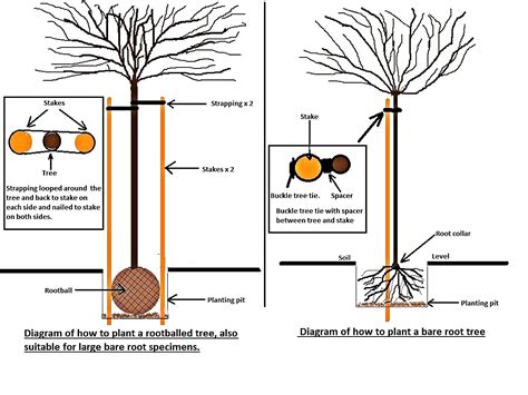 Planting Guide