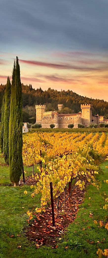 Castello di Amorosa winery, Napa Valley, California, USA | Napa trip, Wine country california ...