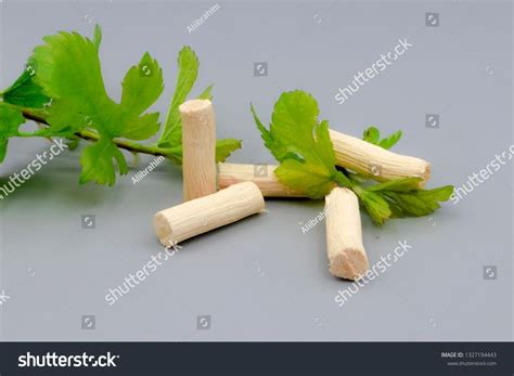 Miswak Stick: Benefits and How to Use