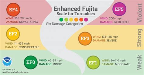 Summer Infographics