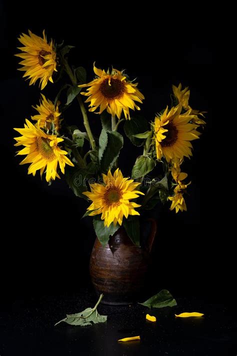 2,410 Sunflowers Vase Photos - Free & Royalty-Free Stock Photos from Dreamstime