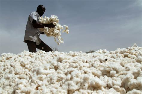 The Cotton Industry Finally Answers Critics - Orchard Tech