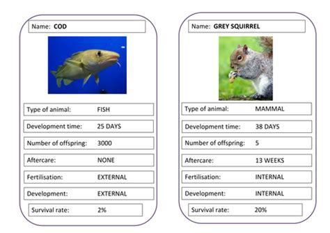 Animal reproduction strategies | Teaching Resources