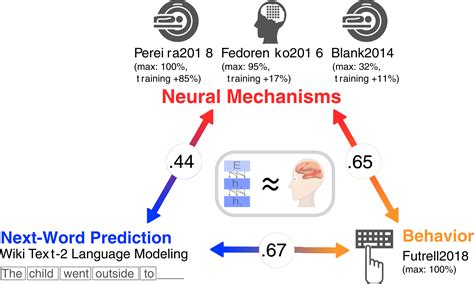 The neural architecture of language: Integrative modeling converges on predictive processing | PNAS