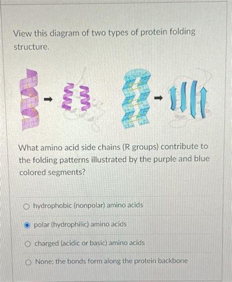 Solved View this diagram of two types of protein folding | Chegg.com